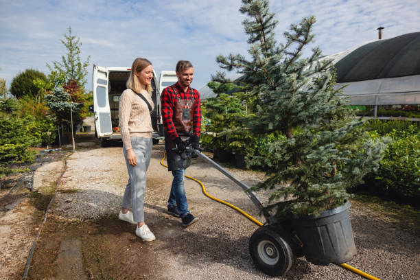 Best Emergency Tree Service  in Al Creek, CO